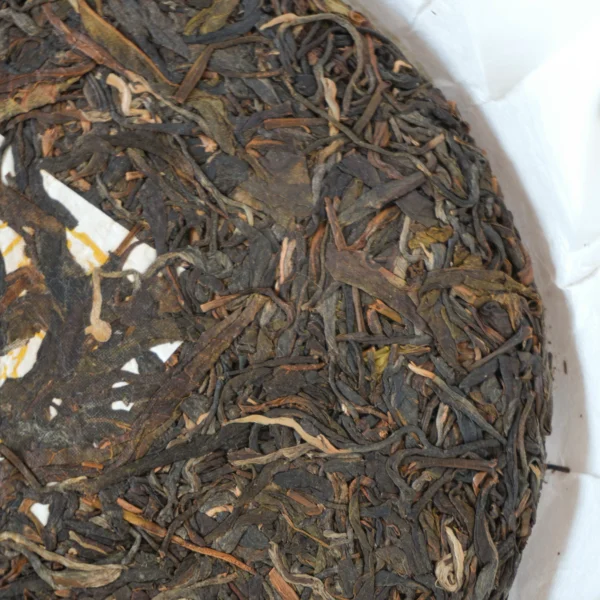 Year of Snake Raw Puerh
