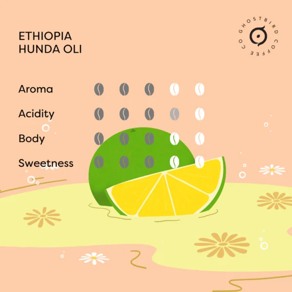 Ethiopia Hunda Oli [Washed]