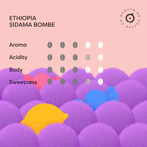 Ethiopia Sidama Bombe [Natural]