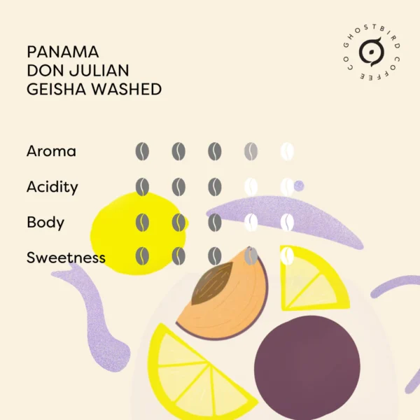 Panama Don Julian Geisha Washed